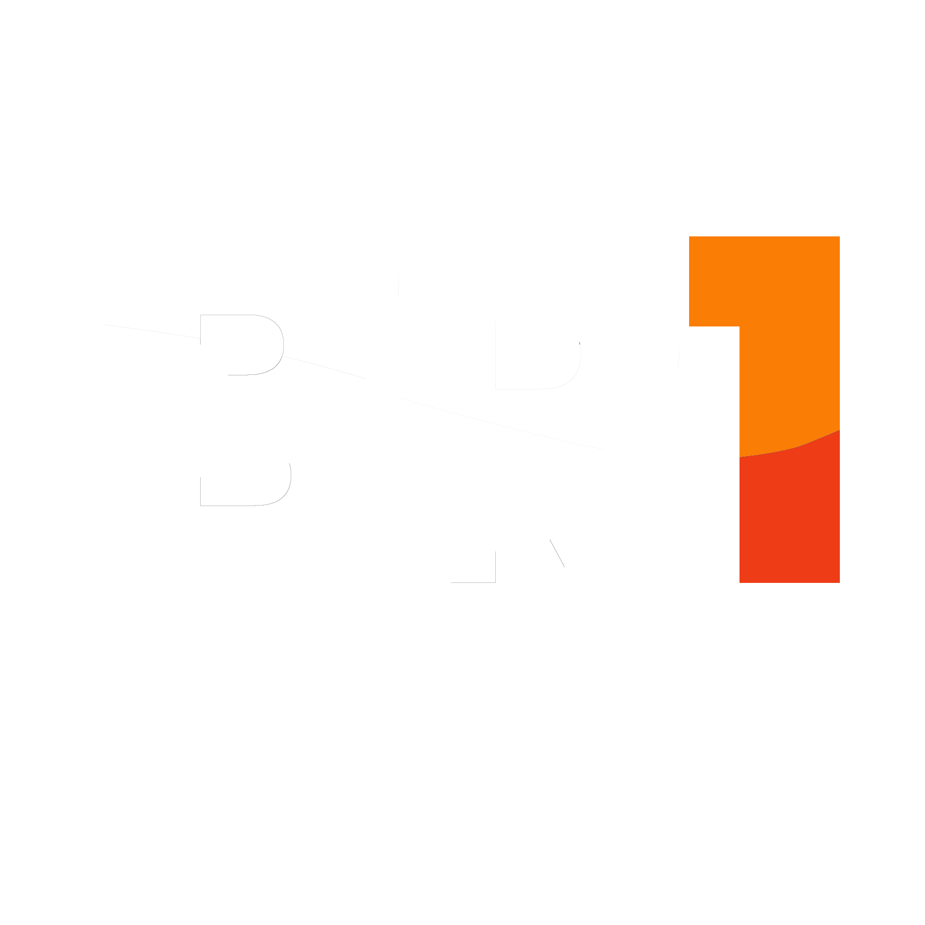 BR1 Software